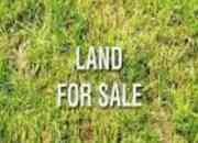 The best offer 50 plots of land for sale at Lekki Villas  Bogije. Ibeju Lekki urgent