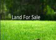 lowest price 108 plots of land for sale at Pharez Gardens Phase 1, Excision, Ibeju Lekki best sale